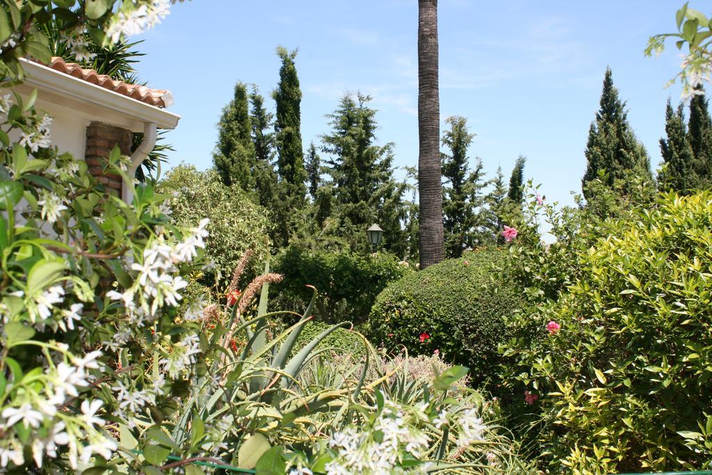 Cortijo Andaluz Bed & Breakfast อัลเลาริน เอล กรันเด ภายนอก รูปภาพ