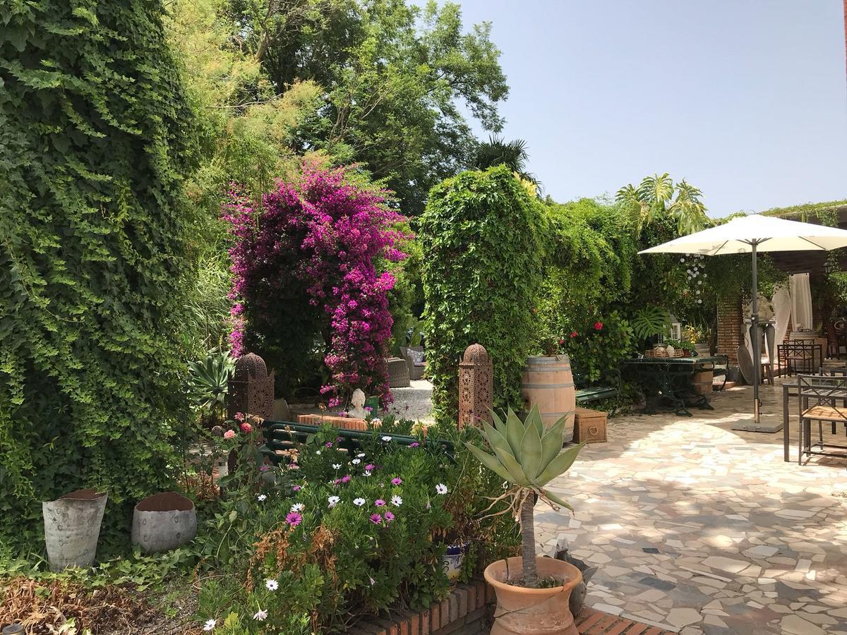 Cortijo Andaluz Bed & Breakfast อัลเลาริน เอล กรันเด ภายนอก รูปภาพ