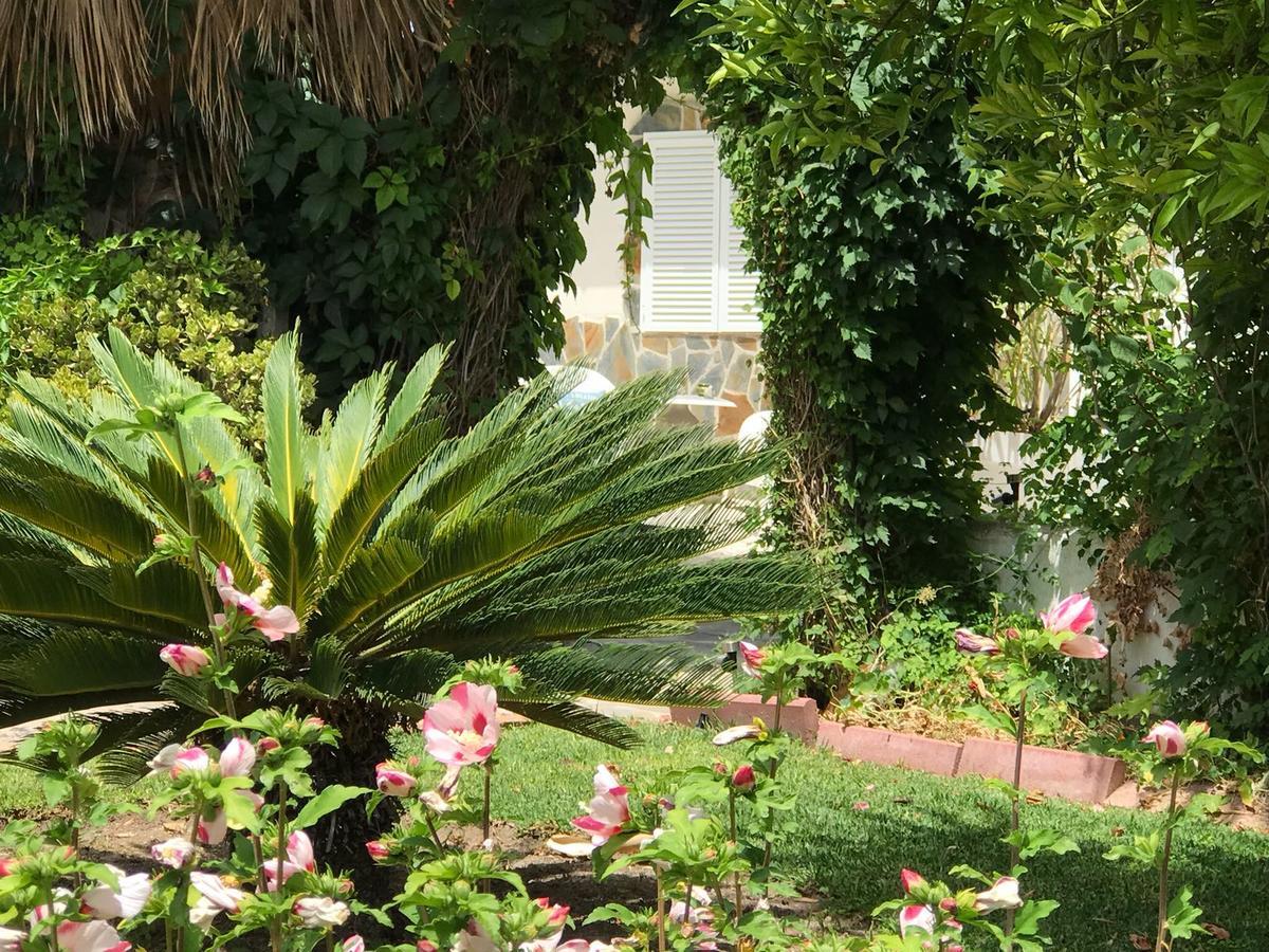 Cortijo Andaluz Bed & Breakfast อัลเลาริน เอล กรันเด ภายนอก รูปภาพ